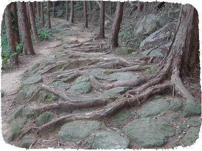 Kumano-kodo