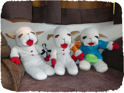 Lamb Life 2