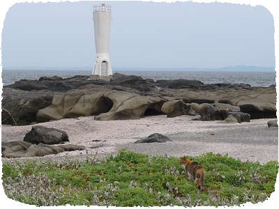 Jogashima