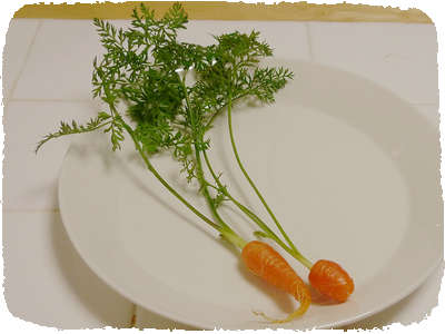 Carrot