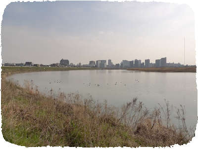 Tamagawa End 