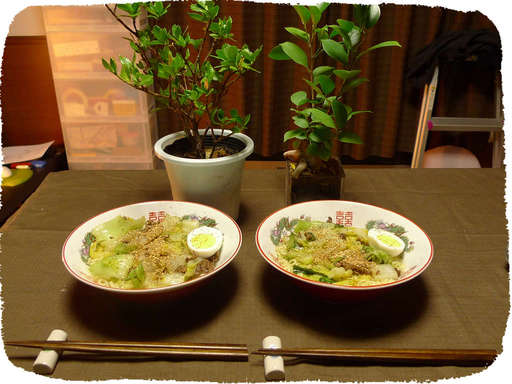 クチナシとガジュマルとラーメ...