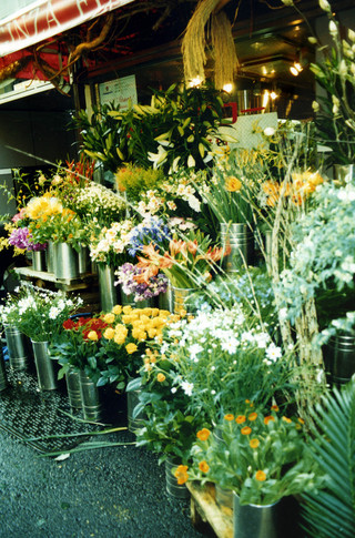 Flower shop