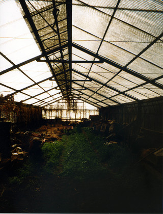 Greenhouse
